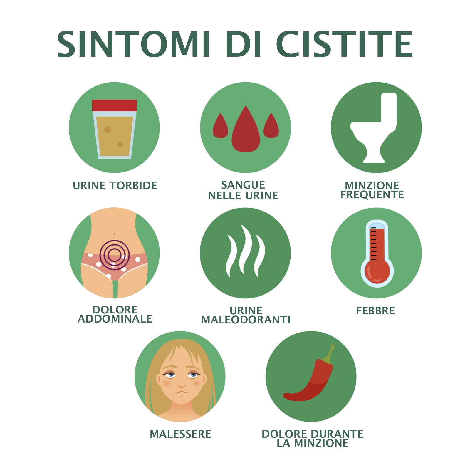 Cistite Cistite